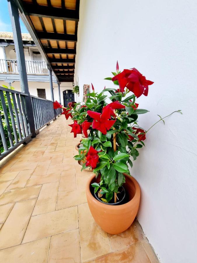 Apartamento Con Patio Sevillano Exterior photo